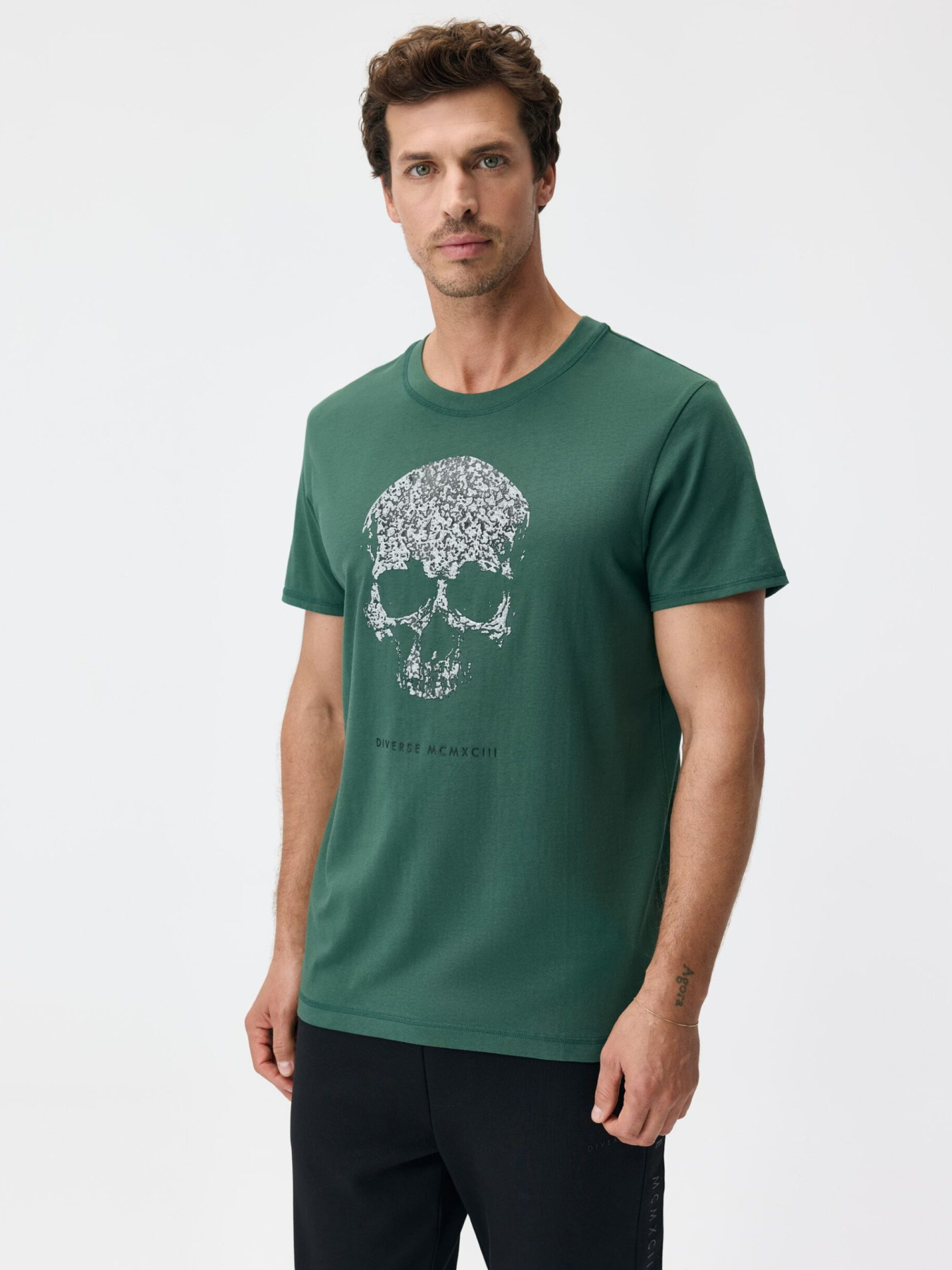 Футболка DIVERSE Prm Skull 256 модель 10048116 Фото