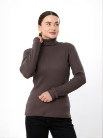 Водолазка Носи своє модель 8047-019-1-shokolad Фото