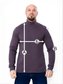 Водолазка Носи своє модель 8318-023-nzhir Фото