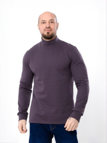 Водолазка Носи своє модель 8318-023-nzhir Фото