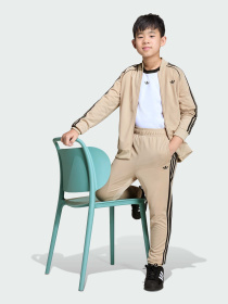 Брюки повседневные Adidas Adicolor модель KE2864 Фото