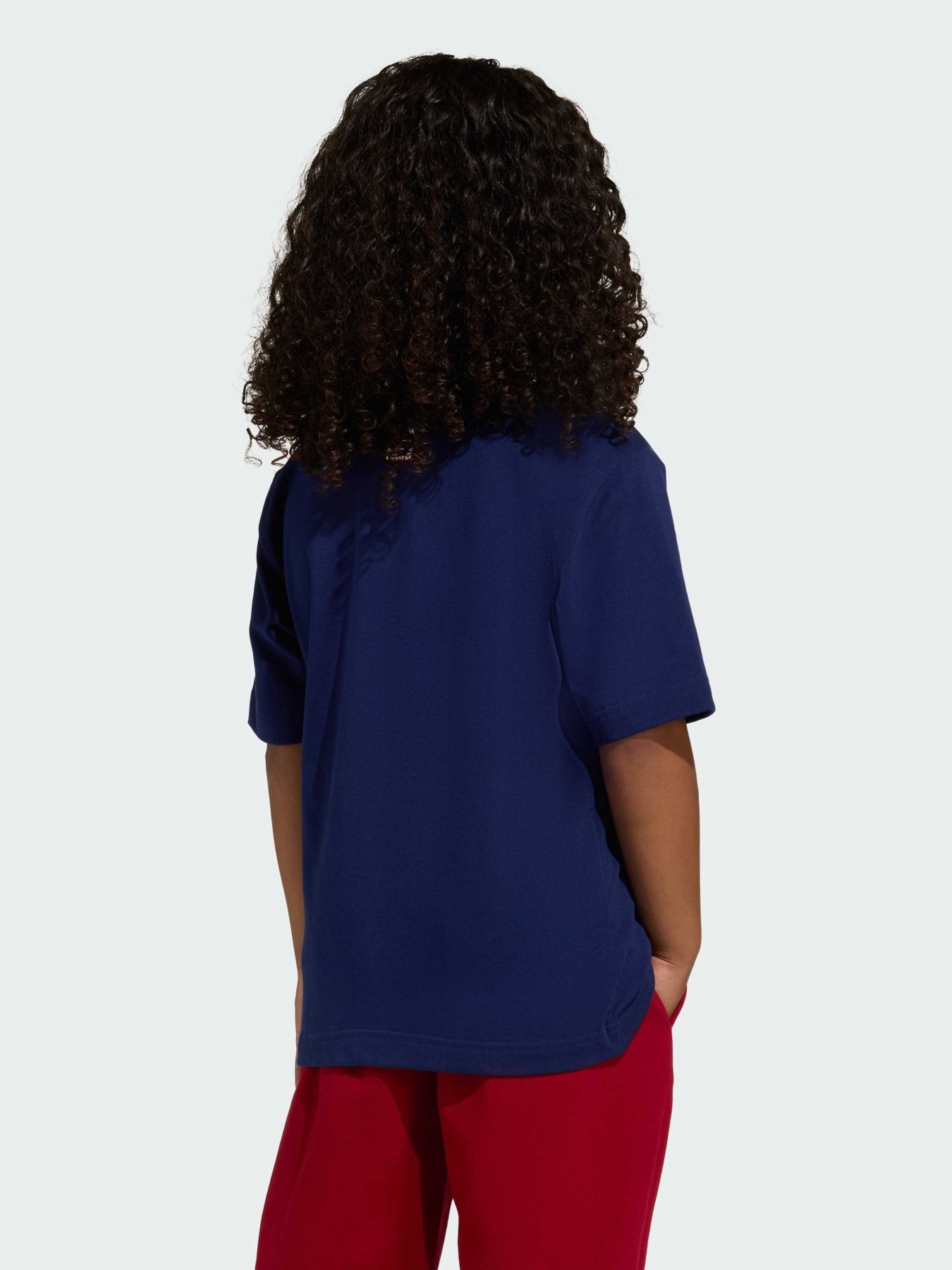 Футболка ADIDAS MARVEL SPIDER-MAN модель JZ7667 Фото