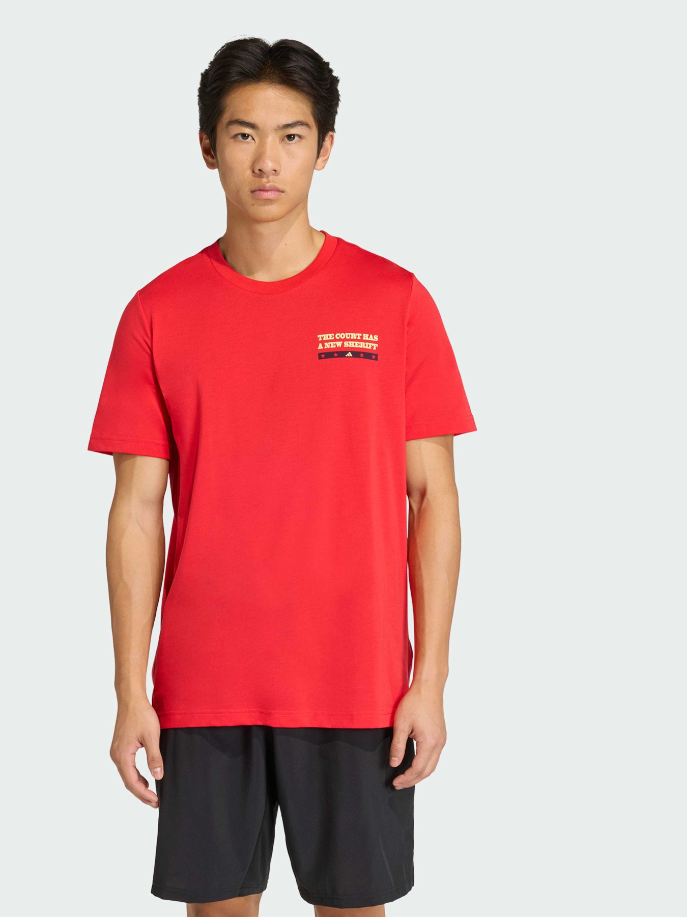 Футболка PADEL WANTED GRAPHIC модель KB9434 Фото