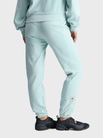 Спортивні штани Adidas модель JZ0661 Фото