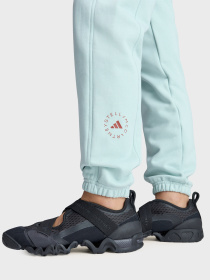 Спортивні штани Adidas модель JZ0661 Фото