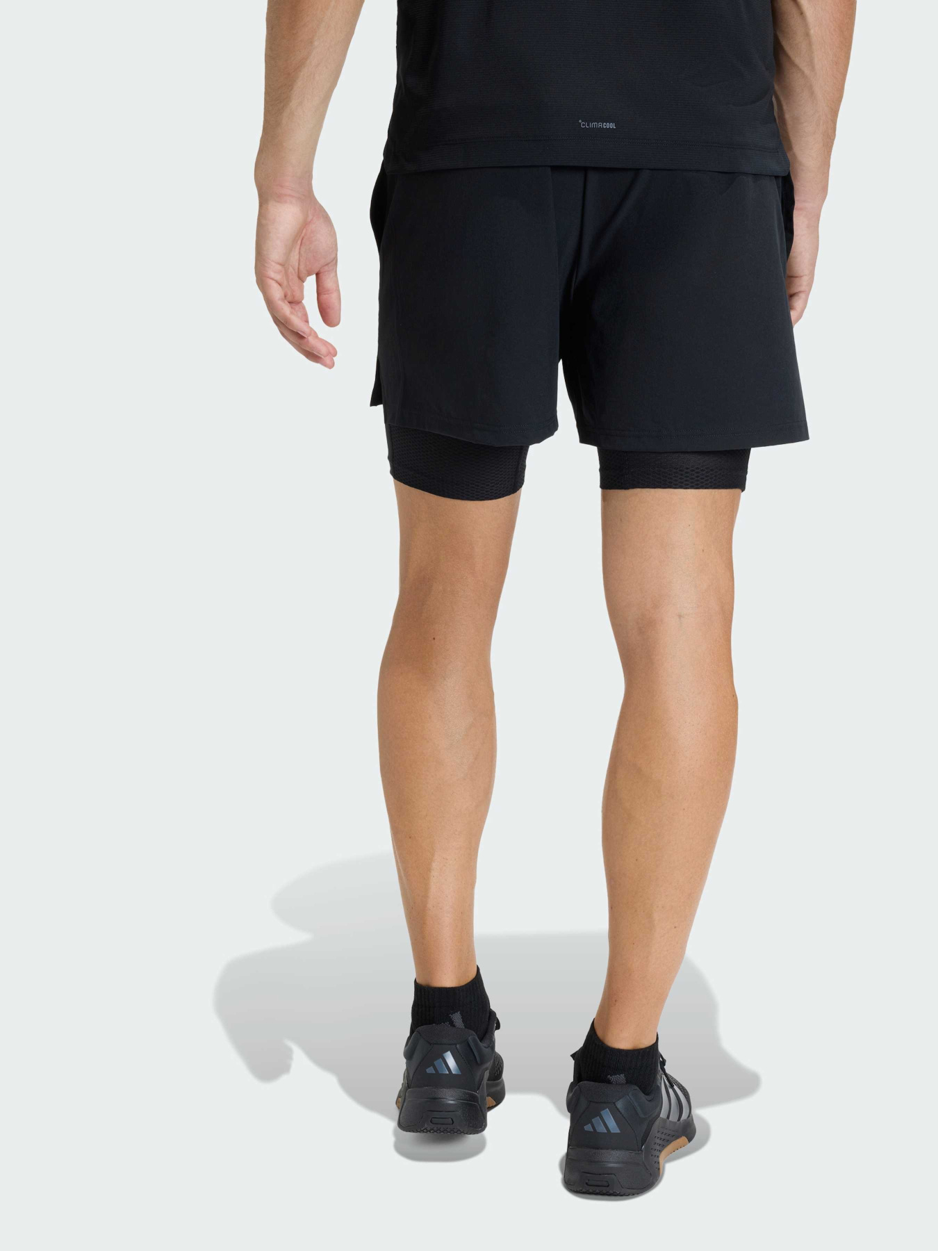 Спортивні шорти Adidas модель KF6431 Фото