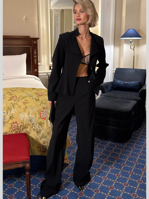 Класичні штани Jadone Fashion модель Bryuk_Ava_chor Фото