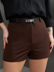 Повседневные шорты ISSA Plus модель 15486_темно-коричневый Фото