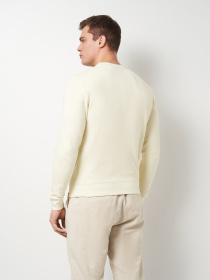 Світшот Mustang Jeans Ben Crewneck модель 1014511 Фото