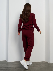 Спортивный костюм ISSA Plus модель 15456_бордовый Фото