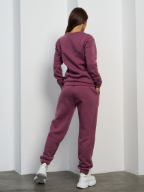 Спортивные костюмы модель 15456_темно-сиреневый Фото