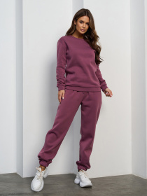 Спортивные костюмы модель 15456_темно-сиреневый Фото