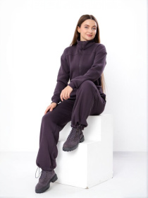 Теплий комбінезон для жінок на блискавці з коміром-стійкою та шнурком на талії, Темно-фіолетовий Носи Своє (8443-025) модель 8443-025-nzhir Теплий комбінезон для жінок на блискавці з коміром-стійкою та шнурком на талії, Темно-фіолетовий Носи Своє (8443-025) модель 8443-025-nzhir Фото