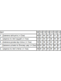 Теплий костюм для хлопчика зі світшотом та штанами, Оливковий Носи Своє (6063-025-33-4) модель 6063-025-33-4-olivka-chornij Фото