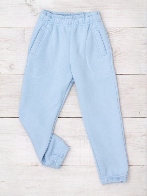 Джоггеры Носи своє модель 6060-025-svtlo-blakitnij Фото