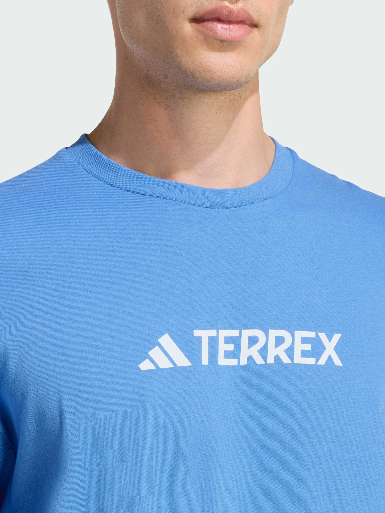 Футболка Terrex Classic Logo модель JZ1167 Фото