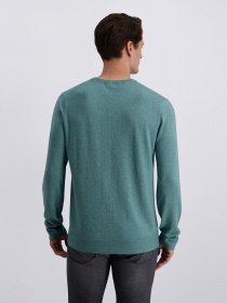 Джемпер Pierre Cardin модель C5 51790.5137.6117 Фото