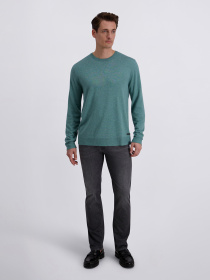 Джемпер Pierre Cardin модель C5 51790.5137.6117 Фото