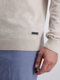 Чоловіче сіре поло на довгий рукав модель C5 51794.5137.1204 Фото