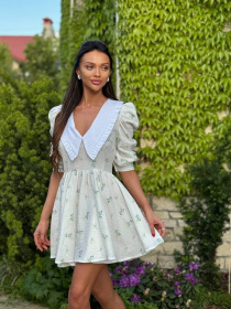 Жіноча літня сукня Скарлет в квіти зі знімним коміром, Білий Milirud (mil556) модель mil556-blij Фото