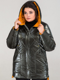 Жіноча зимова напівприталена куртка Невада, Хакі All Posa (ap101292p) модель ap101292p-hak-blisk Фото