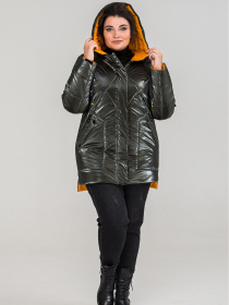 Жіноча зимова напівприталена куртка Невада, Хакі All Posa (ap101292p) модель ap101292p-hak-blisk Фото