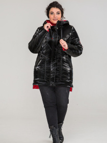 Зимняя куртка All Posa модель ap101292p-chornij-blisk Фото