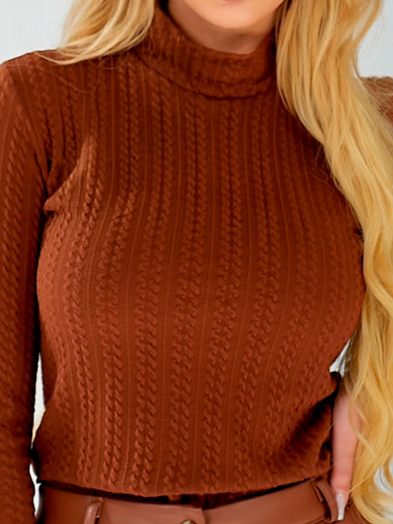 Жіночий трикотажний гольф косічка, Коричневий LadyLike (ll49870684) модель ll49870684-korichnevij Фото