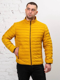 Демісезонна куртка AVALON модель 2009-VLN-YELL Фото