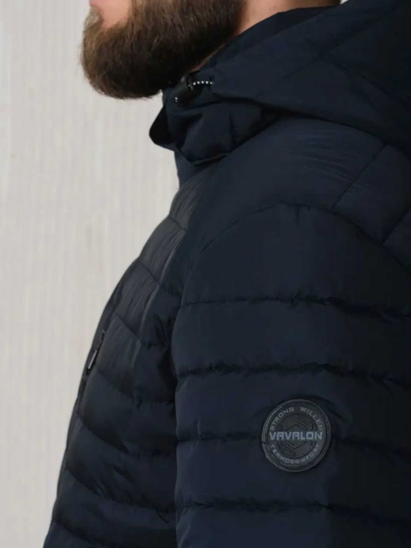 Чоловіча демісезонна куртка модель 31-VLN-BLU Фото