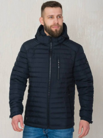 Чоловіча демісезонна куртка модель 31-VLN-BLU Фото