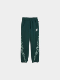 Спортивні штани PUMA Hoops x Harry Potter Sweat модель 633112 Фото