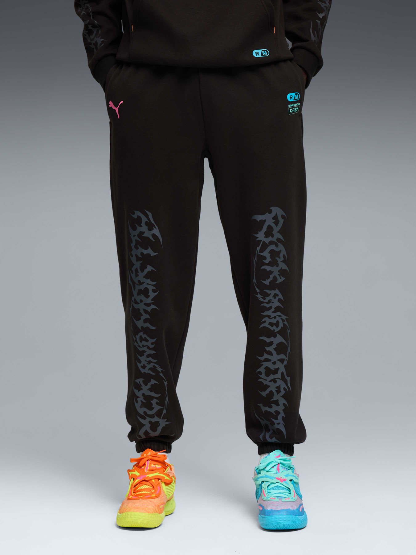 Штаны спортивные PUMA Hoops x Rick And Morty Sweat модель 633095 Фото