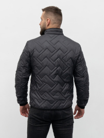 Чоловіча демісезонна куртка модель 42-VLN-graphite Фото