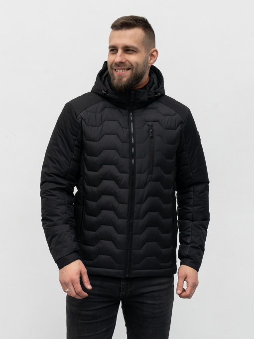 Мужская демисезонная куртка модель 45-VLN Фото