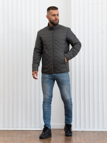 Мужская демисезонная куртка большого размера модель 46-VLN-oliva Фото