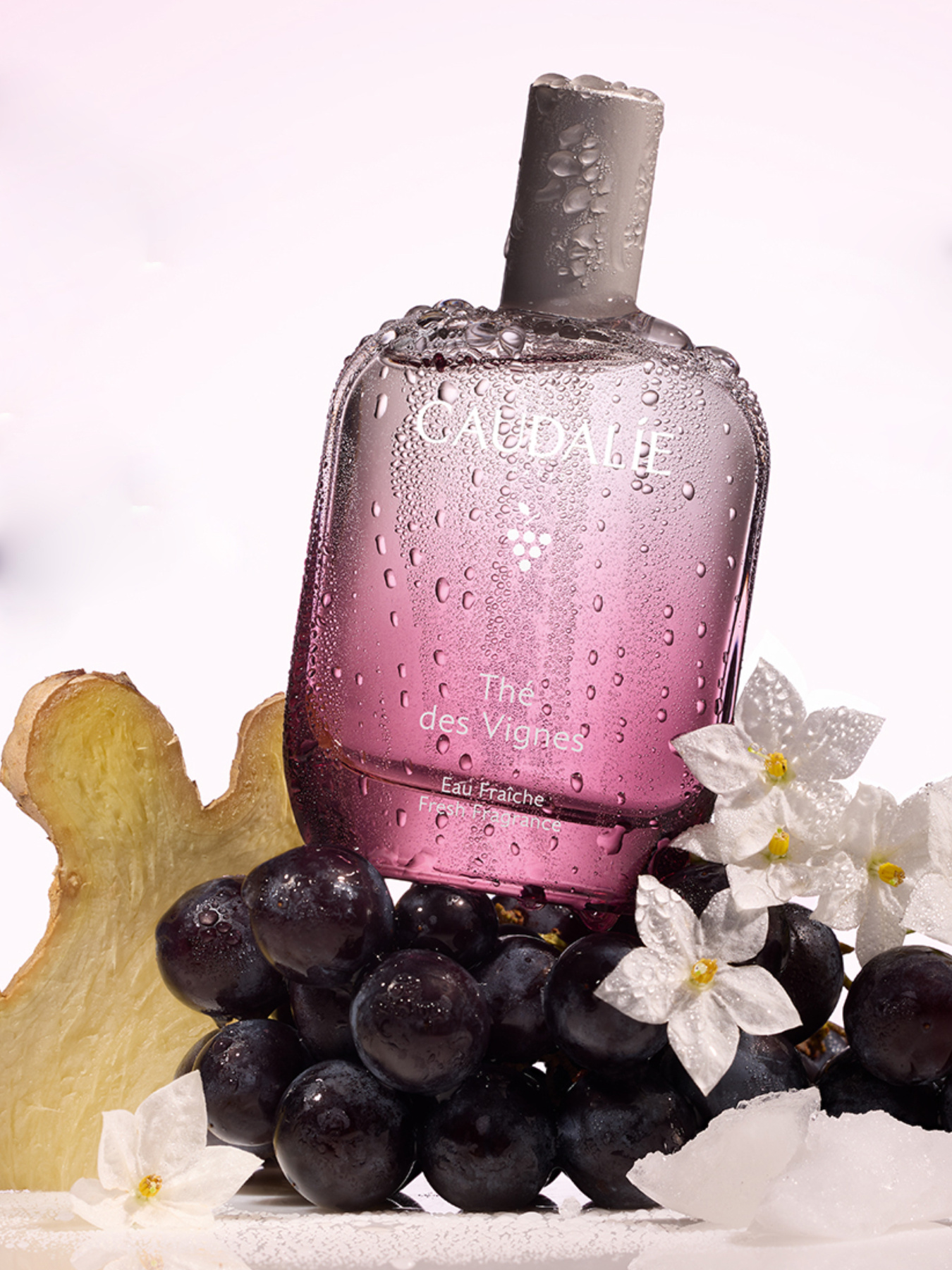 Энергетическая туалетная вода The des Vignes CAUDALIE модель 528 Фото