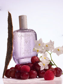 Парфюмерная вода Ange des Vignes CAUDALIE модель 531 Фото