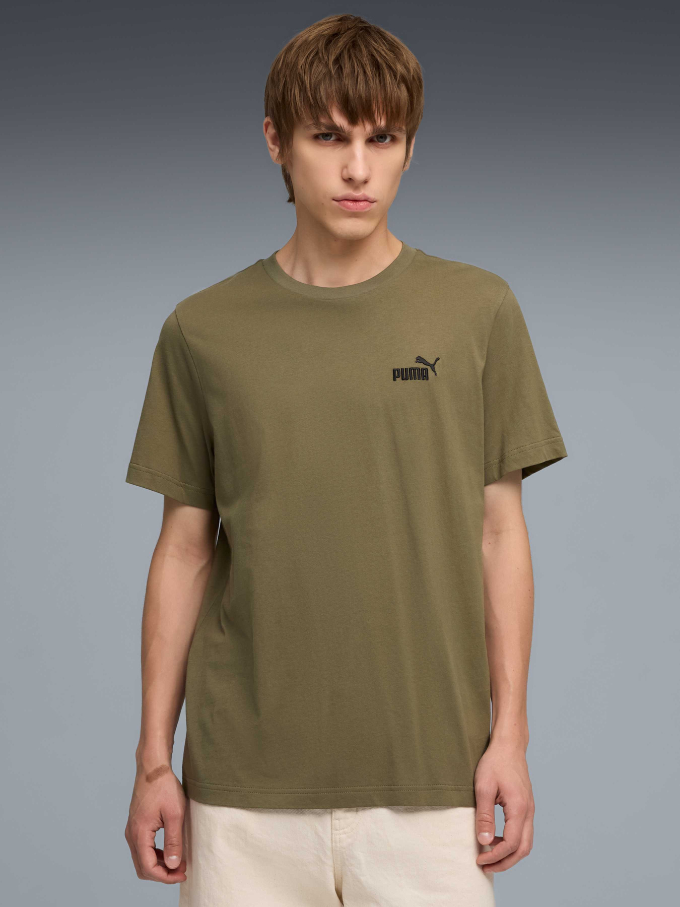 Футболка PUMA Ess Small No. 1 Logo Tee модель 682535 Фото
