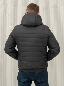 Мужская демисезонная куртка модель 35-1-CKF-GR Фото