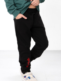 Утеплений костюм для хлопчика світшот з принтом та штани на манжетах, Зелений Носи Своє (6063-023-33-2) модель 6063-023-33-2-hvojnij-72 Фото