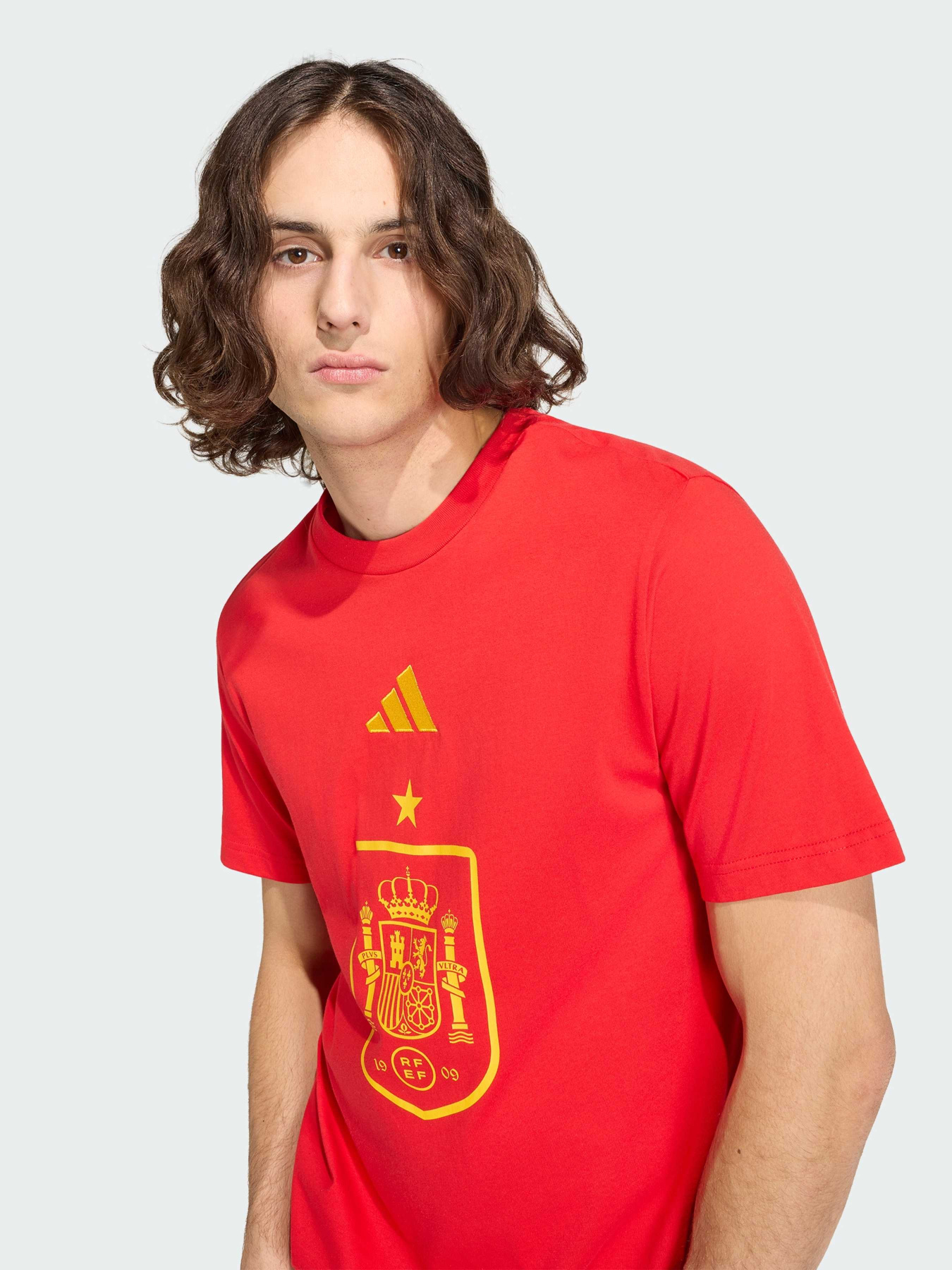 Футболка Spain DNA Graphic модель JZ2263 Фото