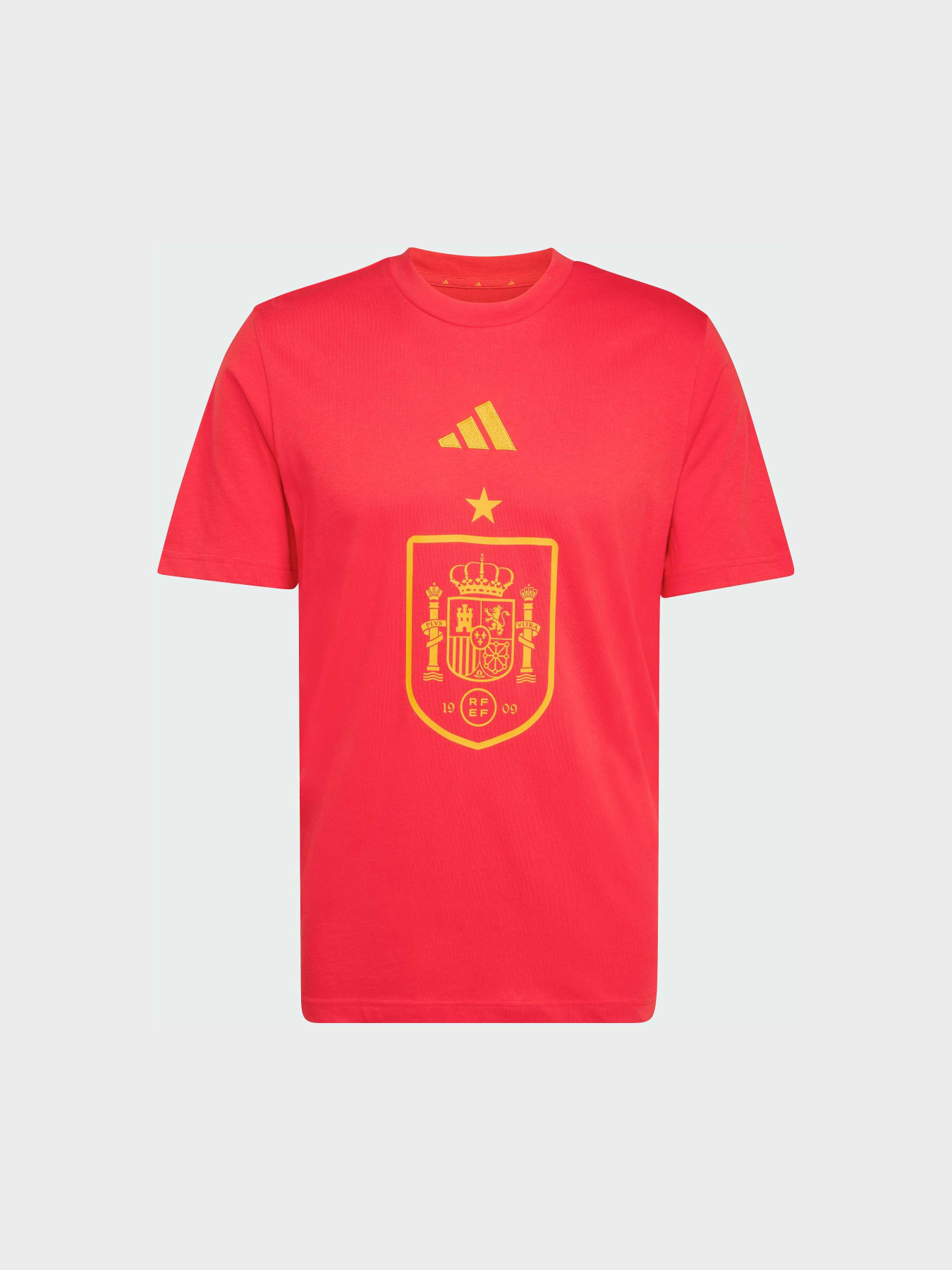 Футболка Spain DNA Graphic модель JZ2263 Фото