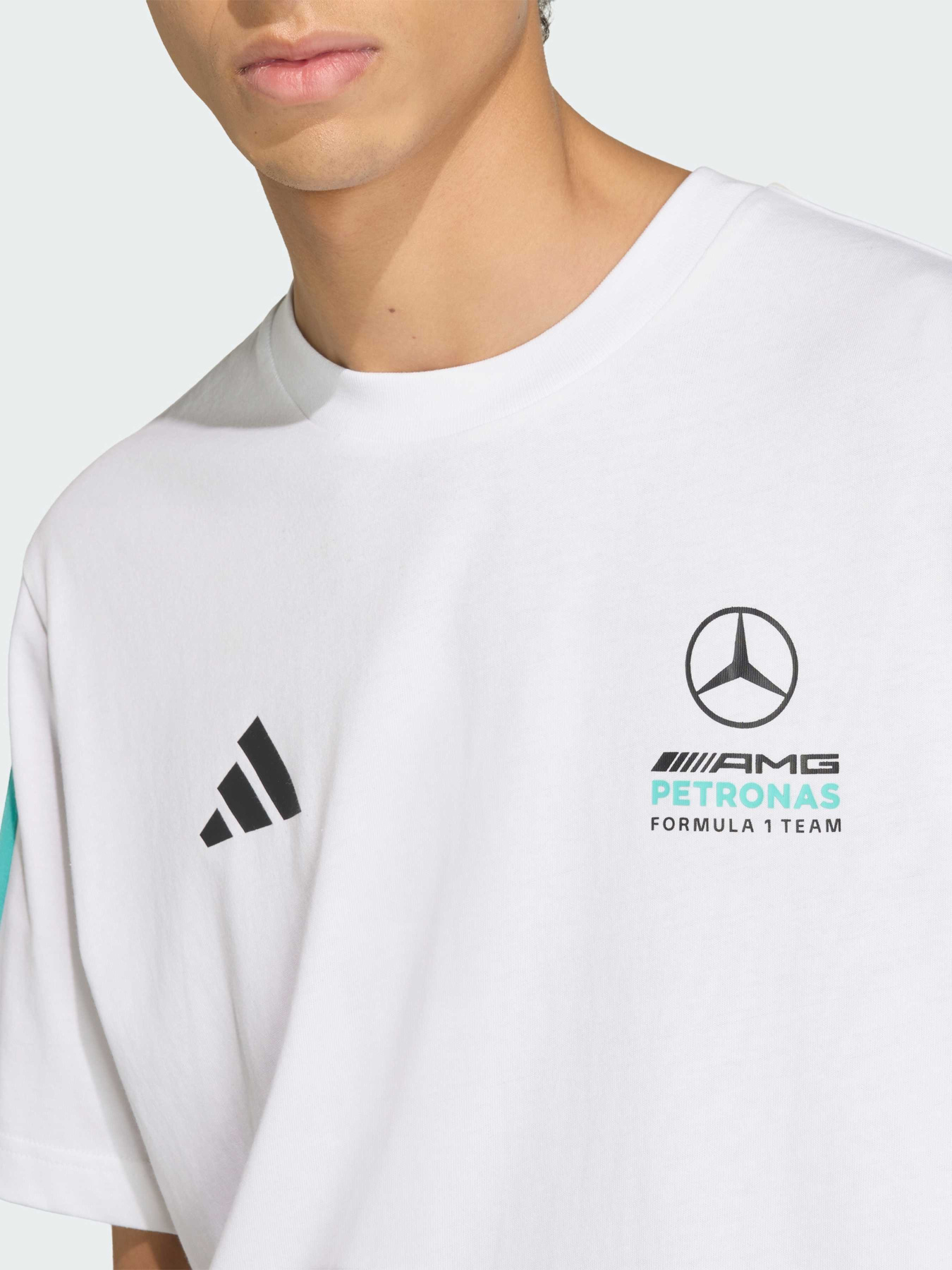 Футболка MERCEDES - AMG PETRONAS FORMULA 1 TEAM DNA модель KE8162 Фото