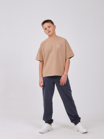 Футболка SMIL Сіро-бежевий модель smil_110923-1-sero-bezevyj Фото