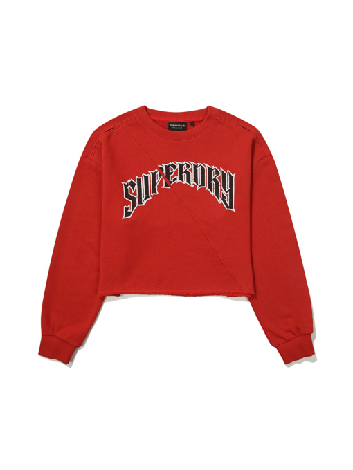 Худи и свитшоты Superdry модель SDFMRDO07-red Фото