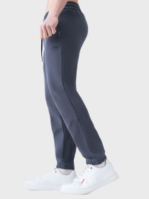 Спортивні штани AVECS модель 50586-17 Фото