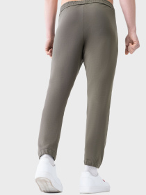 Штаны спортивные AVECS модель 50586-48 Фото