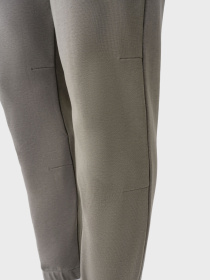 Штаны спортивные AVECS модель 50586-48 Фото