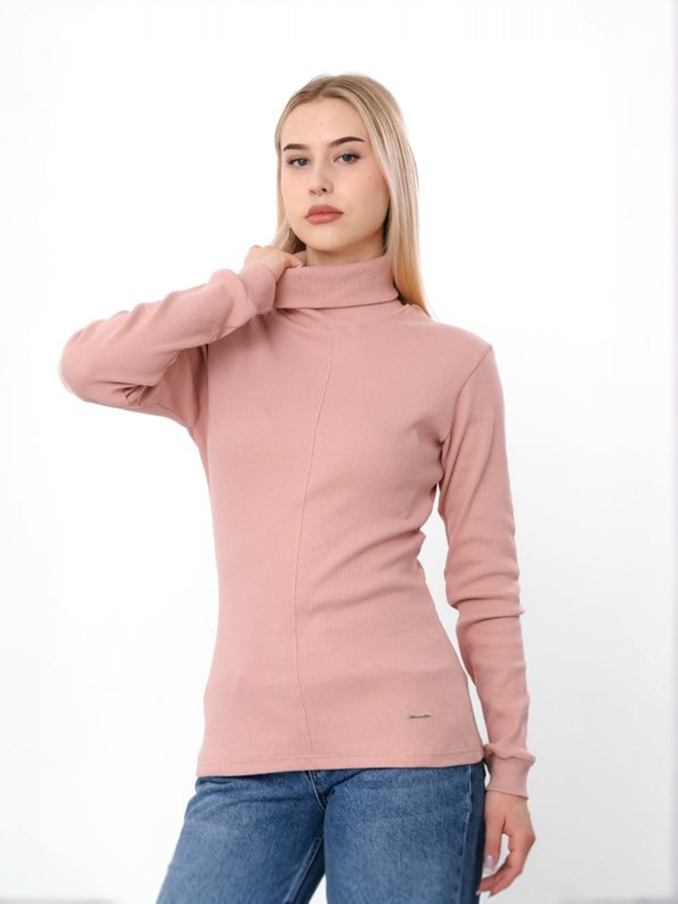 Водолазка Носи своє модель 8421-019-bezhevo-persikovij Водолазка Носи своє модель 8421-019-bezhevo-persikovij Фото